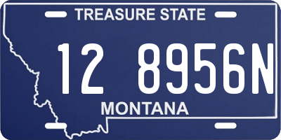 MT license plate 128956N