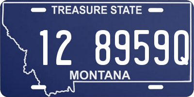 MT license plate 128959Q