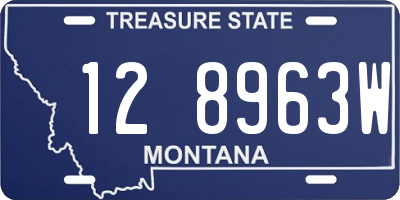 MT license plate 128963W