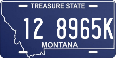 MT license plate 128965K