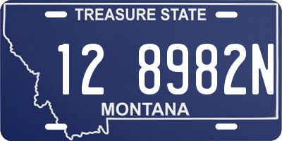 MT license plate 128982N