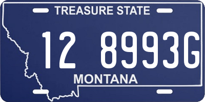 MT license plate 128993G