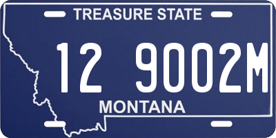 MT license plate 129002M