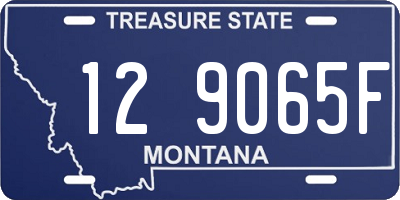 MT license plate 129065F