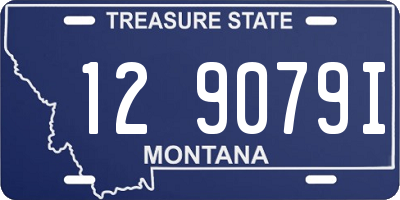 MT license plate 129079I