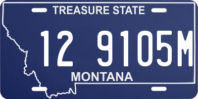 MT license plate 129105M