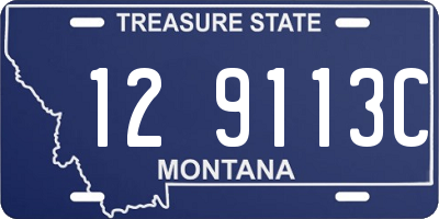 MT license plate 129113C