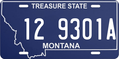 MT license plate 129301A