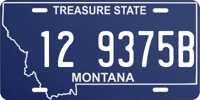 MT license plate 129375B