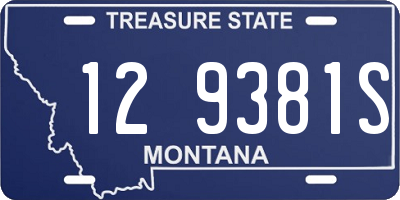 MT license plate 129381S