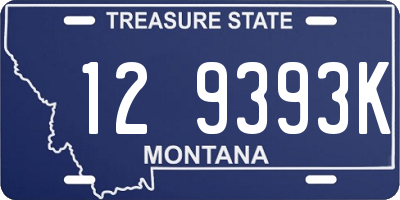 MT license plate 129393K