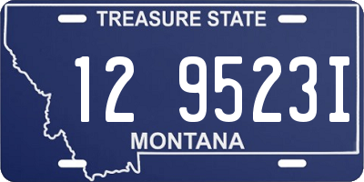 MT license plate 129523I