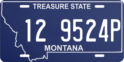 MT license plate 129524P
