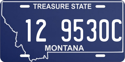 MT license plate 129530C