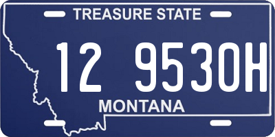 MT license plate 129530H