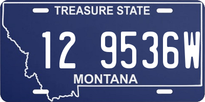 MT license plate 129536W