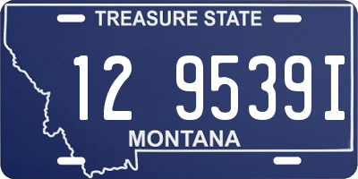 MT license plate 129539I