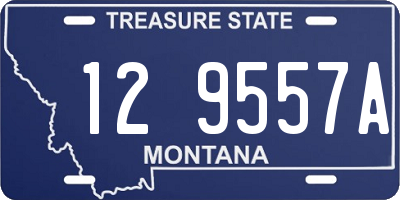 MT license plate 129557A