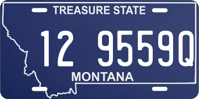 MT license plate 129559Q