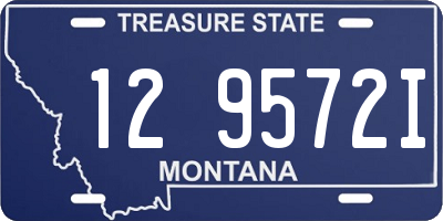 MT license plate 129572I