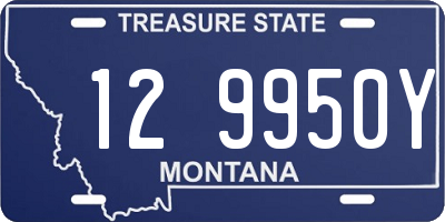 MT license plate 129950Y