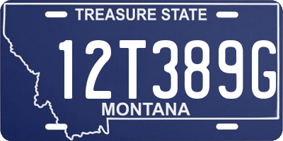 MT license plate 12T389G