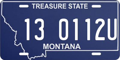 MT license plate 130112U