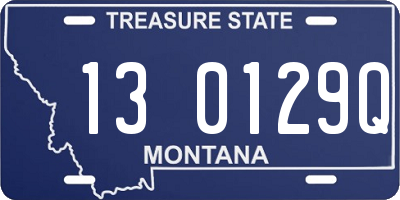 MT license plate 130129Q