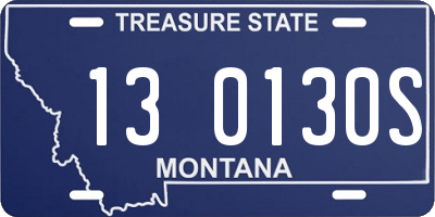 MT license plate 130130S