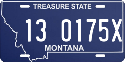 MT license plate 130175X