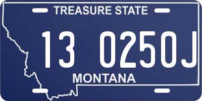 MT license plate 130250J