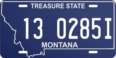 MT license plate 130285I