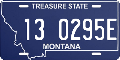MT license plate 130295E