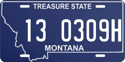 MT license plate 130309H