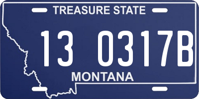 MT license plate 130317B