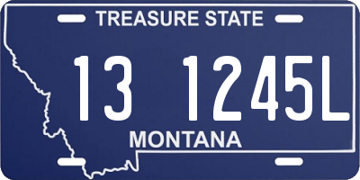 MT license plate 131245L