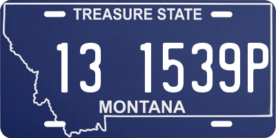 MT license plate 131539P