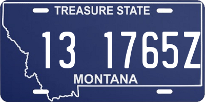 MT license plate 131765Z