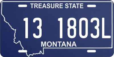 MT license plate 131803L
