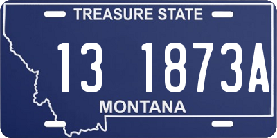 MT license plate 131873A