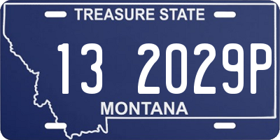 MT license plate 132029P