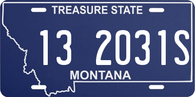 MT license plate 132031S