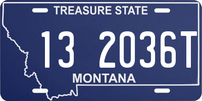 MT license plate 132036T