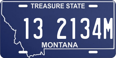 MT license plate 132134M