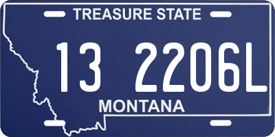 MT license plate 132206L