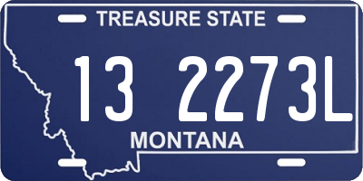 MT license plate 132273L