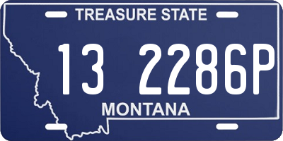 MT license plate 132286P