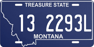 MT license plate 132293L