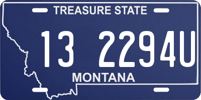 MT license plate 132294U