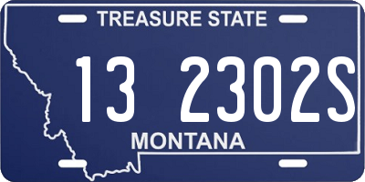 MT license plate 132302S